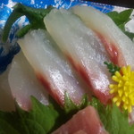 魚きん - 刺身（アップ２）