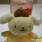 ポムポムプリンカフェ - 