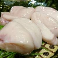 肥後橋ゆきや。 - 