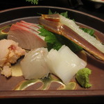 旬魚たつみ - かんぱち、ひらめ、白いか、松葉がに、カレイのこまぶり