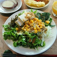 羅豚 ギンザ・グラッセ - 水菜、キャベツの千切り、豆腐、コーン、昆布、さつまいもなど