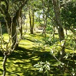 安寧 - お庭に光が当たるとこんな感じに