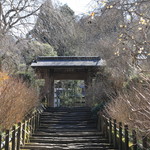 Meigetsuin Gesshouken - 　山門へ上がる階段。この脇を6月になるとブルーのアジサイが咲き誇ります。