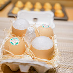 SUGALABO - プリン