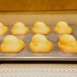 SUGALABO - フィナンシェ