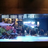 鉄板DINING集 栄店 - サメが泳ぐ水槽