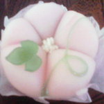 木村屋本店 - あさがお