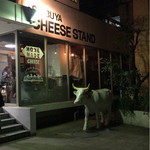 SHIBUYA CHEESE STAND - 