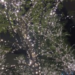 煖 - イルミに見送られ駅へダッシュ（笑）