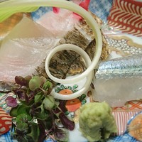 日本料理 太月 - 太刀魚　さより刺身　アップ