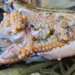 川どこべらぼう - 