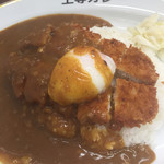 JOTO CURRY  - 