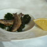 箱根ハイランドホテル　ラ・フォーレ - いつものニジマスの稚魚