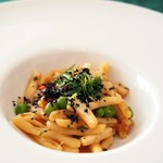 アマルフィ - カヴァテッリ（手打ちショートパスタ）　イカとグリンピースとアサリのソース