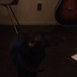 bacchus gallery bun - 