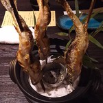 春蘭の宿 さかえや - 岩魚