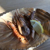鳥と手打ち蕎麦 とり数寄 東急プラザ銀座店 - 