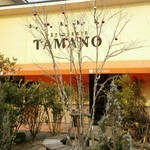 Tamano - 