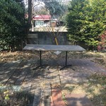 なたね - 庭のテーブル。