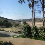 そば処　あいづ - 店内から望む田園