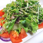 Ripe tomato salad