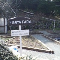 富士屋ホテル - 