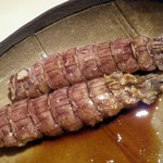 シロクマ食堂 - 小樽産秋シャコ