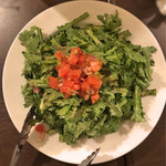 VECTOR BEER - 2017年（平成29年）1月