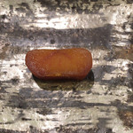 日本料理 太月 - 