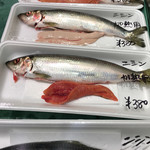 羽田市場 銀座直売店 - 