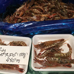 羽田市場 銀座直売店 - 