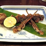 酒肴商店 アジト - 越前イカ丸干しあぶり