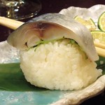 酒肴商店 アジト - 鯖棒寿司