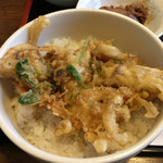 ささら - かき揚げ丼
      ２０１７年１月３０日