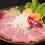 Yakiniku Nagasawaen - トモ三角