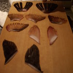 法善寺横丁 誠太郎 - ●部位によるひれの違いを聞く