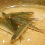 銀座 しのはら - 2017/1_琵琶湖産の本もろこ