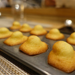 SUGALABO - 2017/1_焼きたてのマドレーヌ