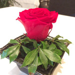 海鮮名菜　香宮 - 