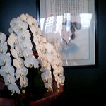 陳麻婆豆腐 - 陳ばあさんの絵