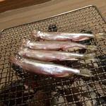 いろり庵 - 鵡川産のオスししゃも