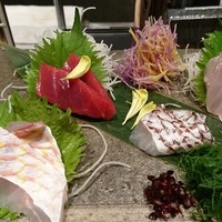 宇田川 紫扇 - 