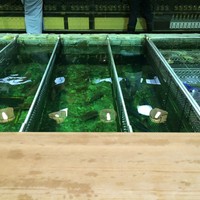 稚加榮 本店 - 
