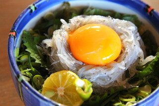 新島水産 - 生シラス丼