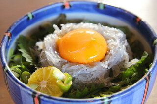 新島水産 - 生しらす丼