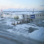 ラーメン二郎  - 復路B737-800機