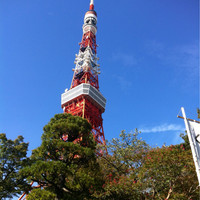 東京 芝 とうふ屋うかい - 