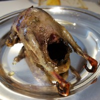 レストラン アラジン - 僕、これから変身します！