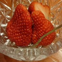 丸文 - 水菓子