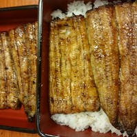 丸文 - 鰻重 特上